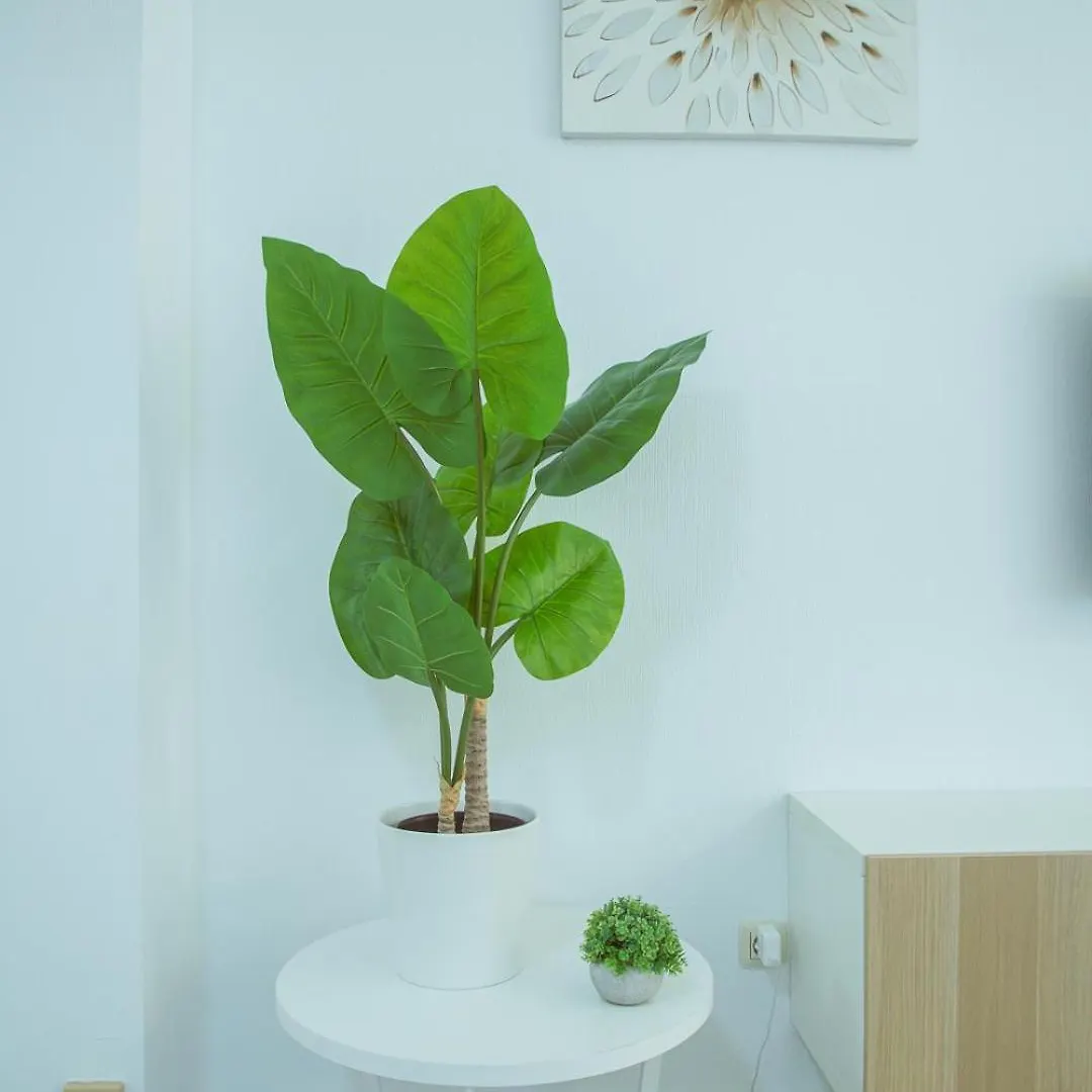 פואנגירולה Sol & Mar Apartment 0*,  ספרד